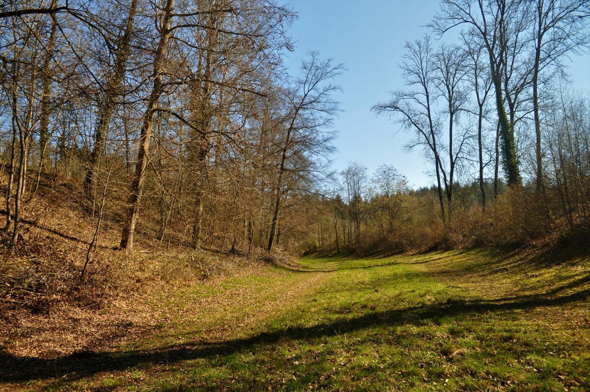 Domaine De Mont-renaud