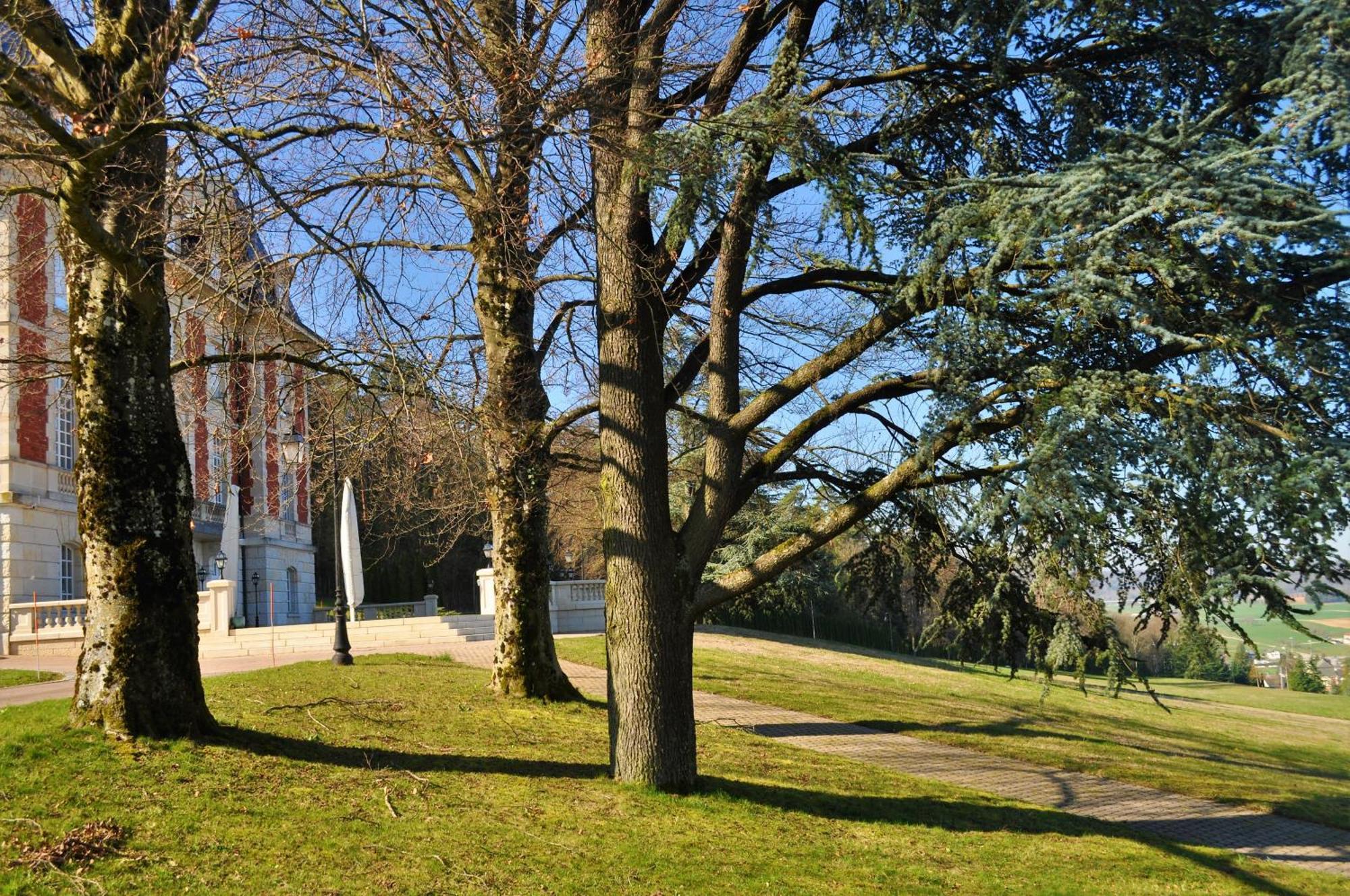 Domaine De Mont-renaud